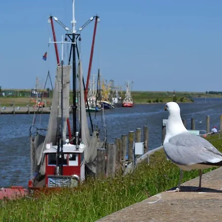 Casa vacanze With 2 Bedrooms Krummhörn